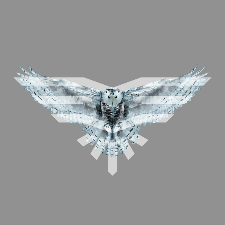 Projektowanie logo - Owlnest Academy