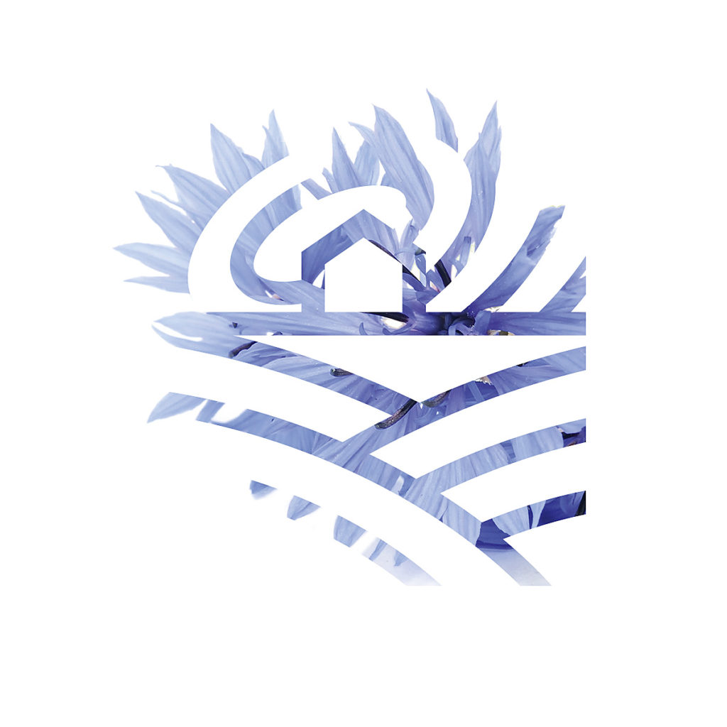 Logo agroturystyka Pod Modrym Aniołem